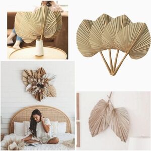 New Extra Large Natural Trimmed Dried Palm Leaves Spear Tropical Home Decor Fan
